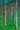 Nasser Schlerophyll-Wald