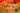 Paper Daisy Panorama