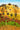 Moona-Landschaft